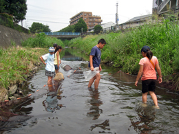 阿久和川_市民協働調査写真1