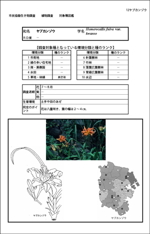 植物図鑑サンプル