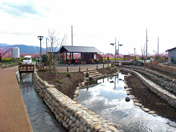 池全景