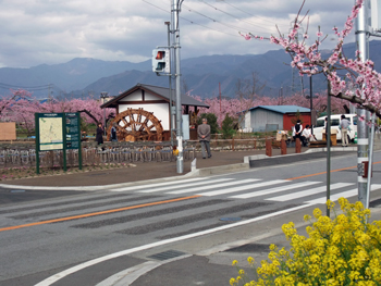 水車全景