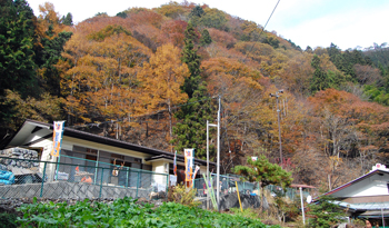 中津に来いなー展の様子_2