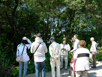 荒川堤外地自然観察会