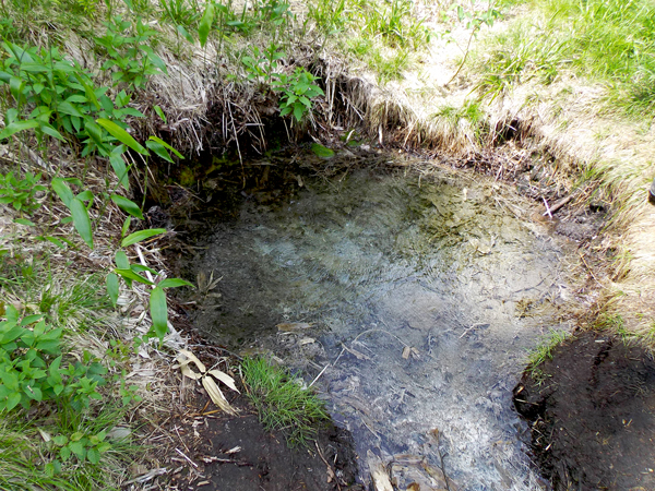 硫化水素を含む強酸性水の湧出